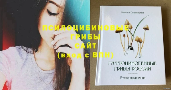 винт Аркадак