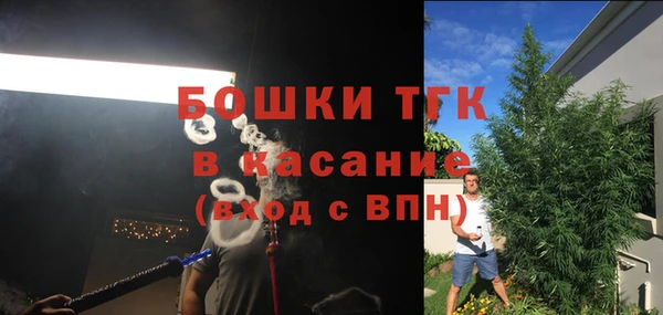 винт Аркадак