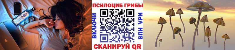 Псилоцибиновые грибы Magic Shrooms  Купить где  Фролово 